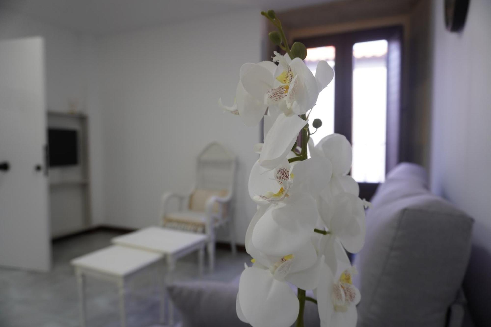 Apartamento Sanin 3 Lumbrales Екстер'єр фото