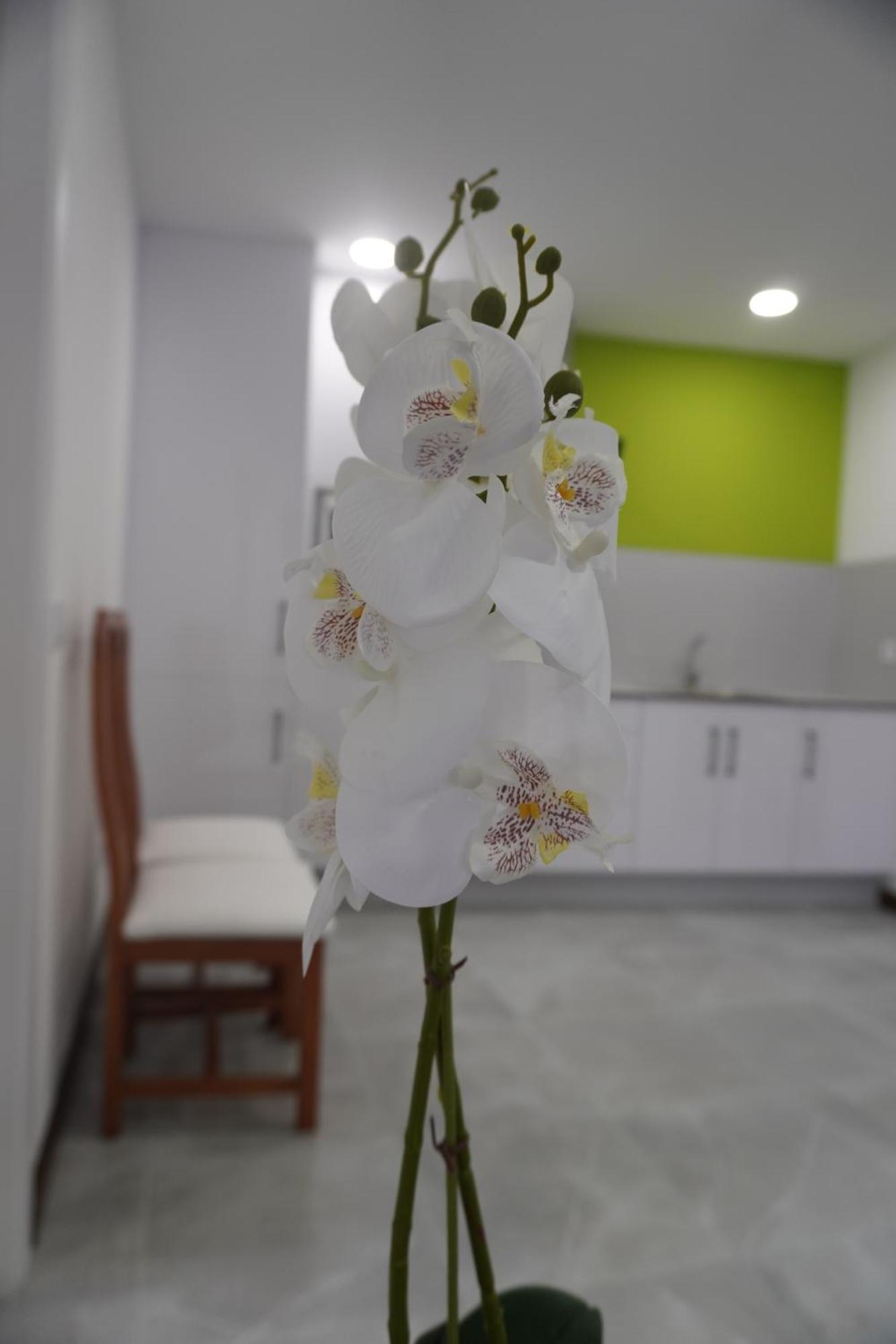 Apartamento Sanin 3 Lumbrales Екстер'єр фото
